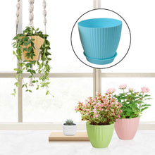 Round Plastic Flower Pot with Bottom Tray (5 Pcs Set / With Color Box)
