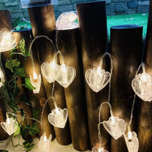 Home Decoration Diwali & Wedding LED String Light Indoor and Outdoor Light (1 Pc / Mix Design)