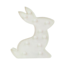 LED Decorative Night Light